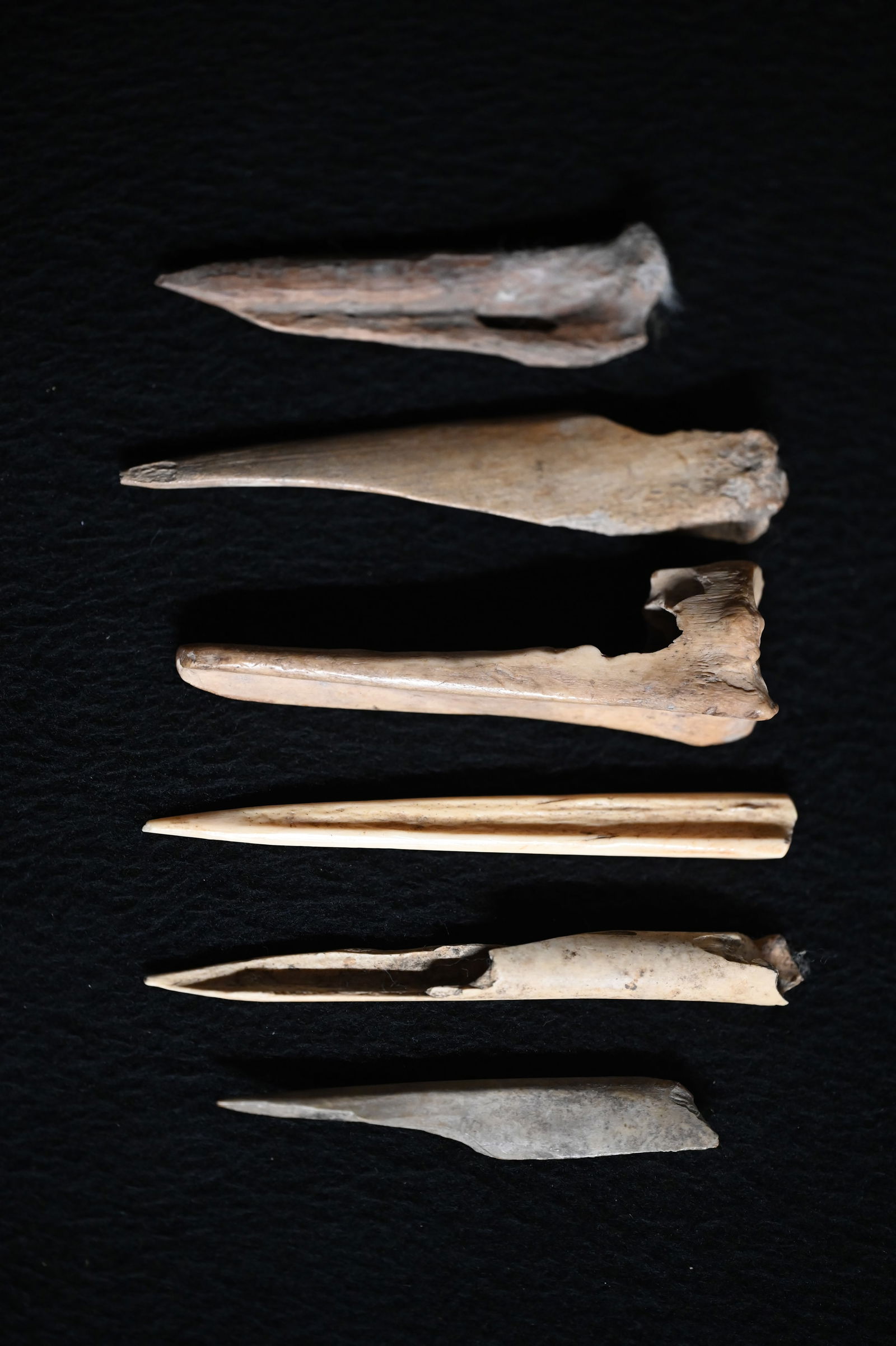 6 Bone Awls Found in Pulaski Co. Illinois Longest is 4 3/16" Ex: Drake Terwelp Collection.: 6 Bone Awls Found in Pulaski Co. Illinois Longest is 4 3/16" Ex: Drake Terwelp Collection.