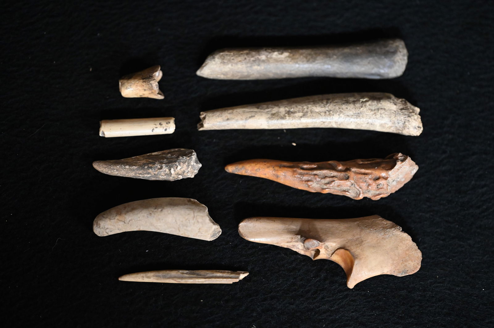 9 Bone/Antler Tools Found in Pulaski Co. Illinois Longest is 4 1/4" Ex: Drake Terwelp Collection. (1 of 4)