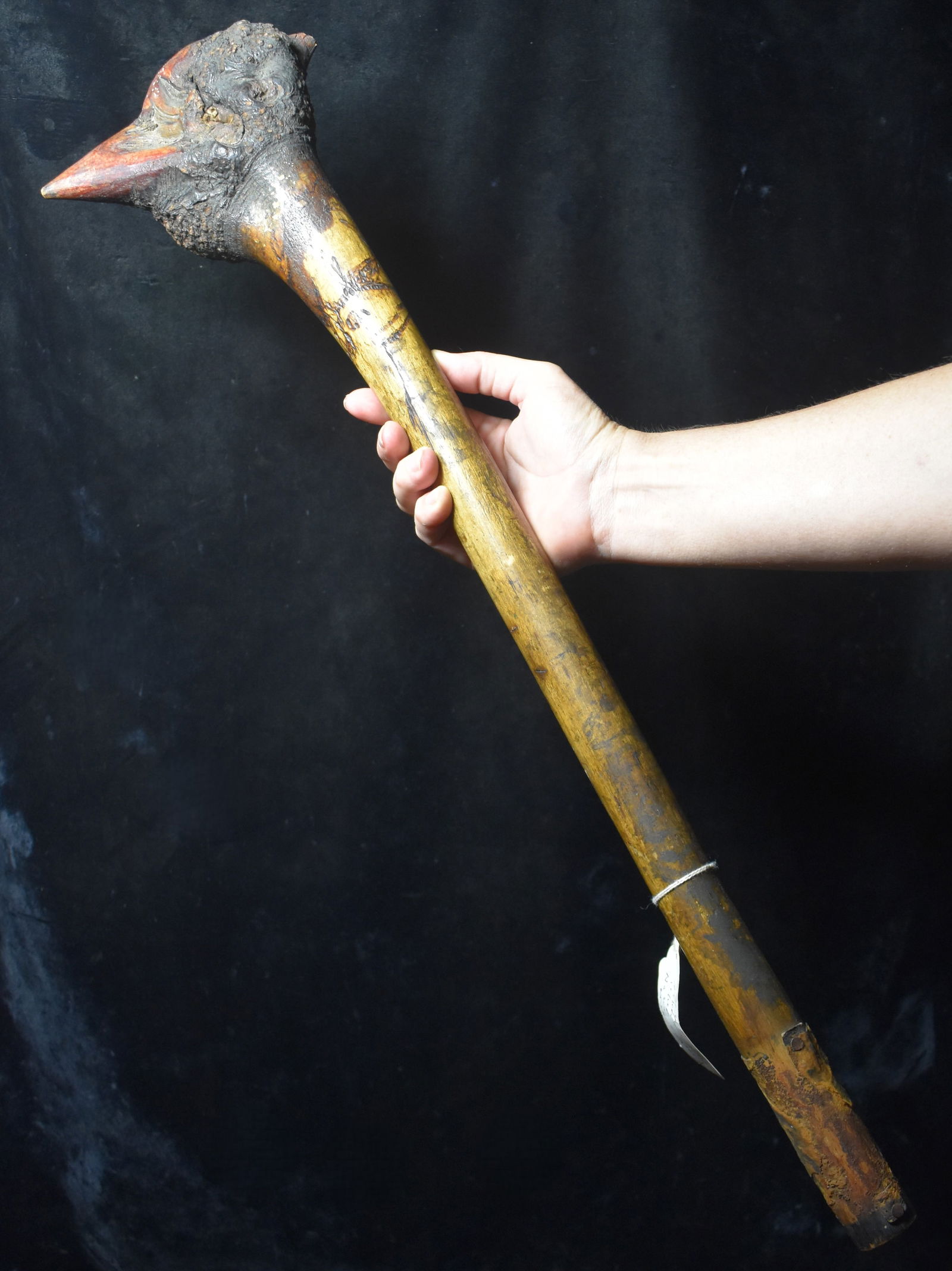 27" Chicken Head War Club - Native American Mashpee from the New England Area (1 of 14)