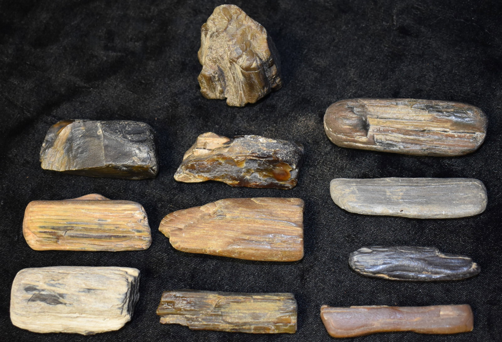 Petrified/Silicified Wood Collection found in Northern Missouri: Petrified/Silicified Wood Collection found in Northern Missouri. Nice group of wood that has turned to stone. One appears to be agatized. 2 1/4 to around 3" long. They weigh a little over 1 pound.