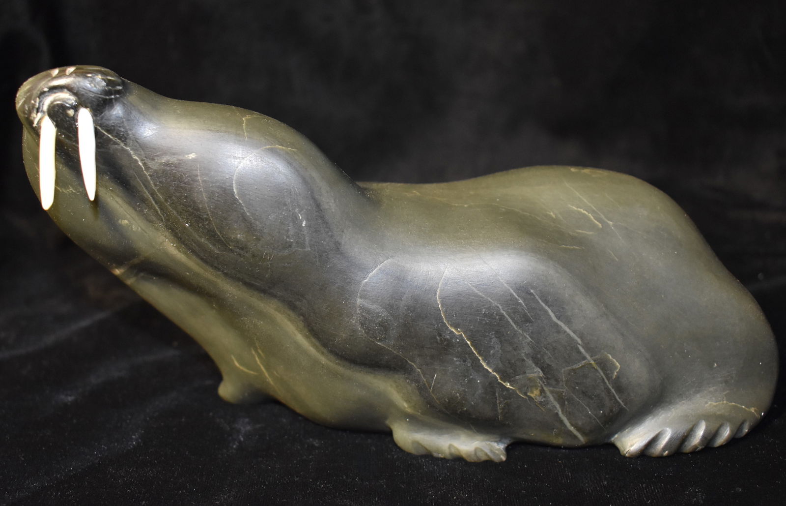 Vintage Inuit (Eskimo) Argolite Carved Walrus Stone: Nicely contoured and polished from a nice and large size chunk of argolite. Two bone teeth are faceted in holes on the face. The base has a sticker that reads Canada - Eskimo Art as well as the number