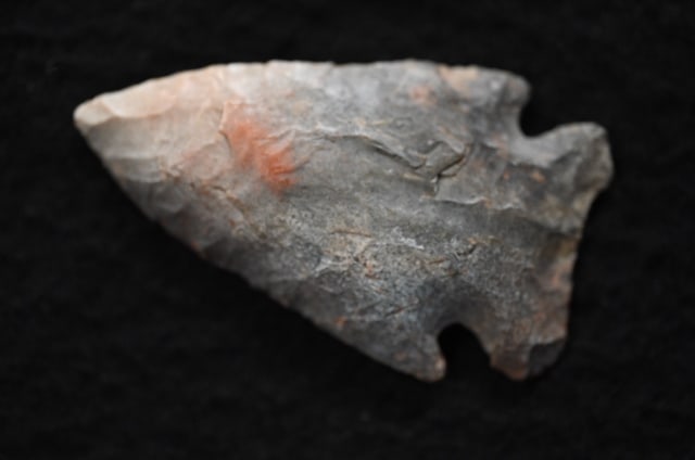 2 1/16" Colorful Rice Lobbed Arrowhead Found in Marion Co. Missouri.: 2 1/16" Colorful Rice Lobbed Arrowhead Found in Marion Co. Missouri. Key words: Ancient, Prehistoric Native American Indian Artifacts, Arrowheads, Stone Tools