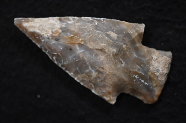 2 11/16" Castroville Found in Texas Ex: Walt McIntyre Collection.: 2 11/16" Castroville Found in Texas Ex: Walt McIntyre Collection. Key words: Ancient, Prehistoric Native American Indian Artifacts, Arrowheads, Stone Tools