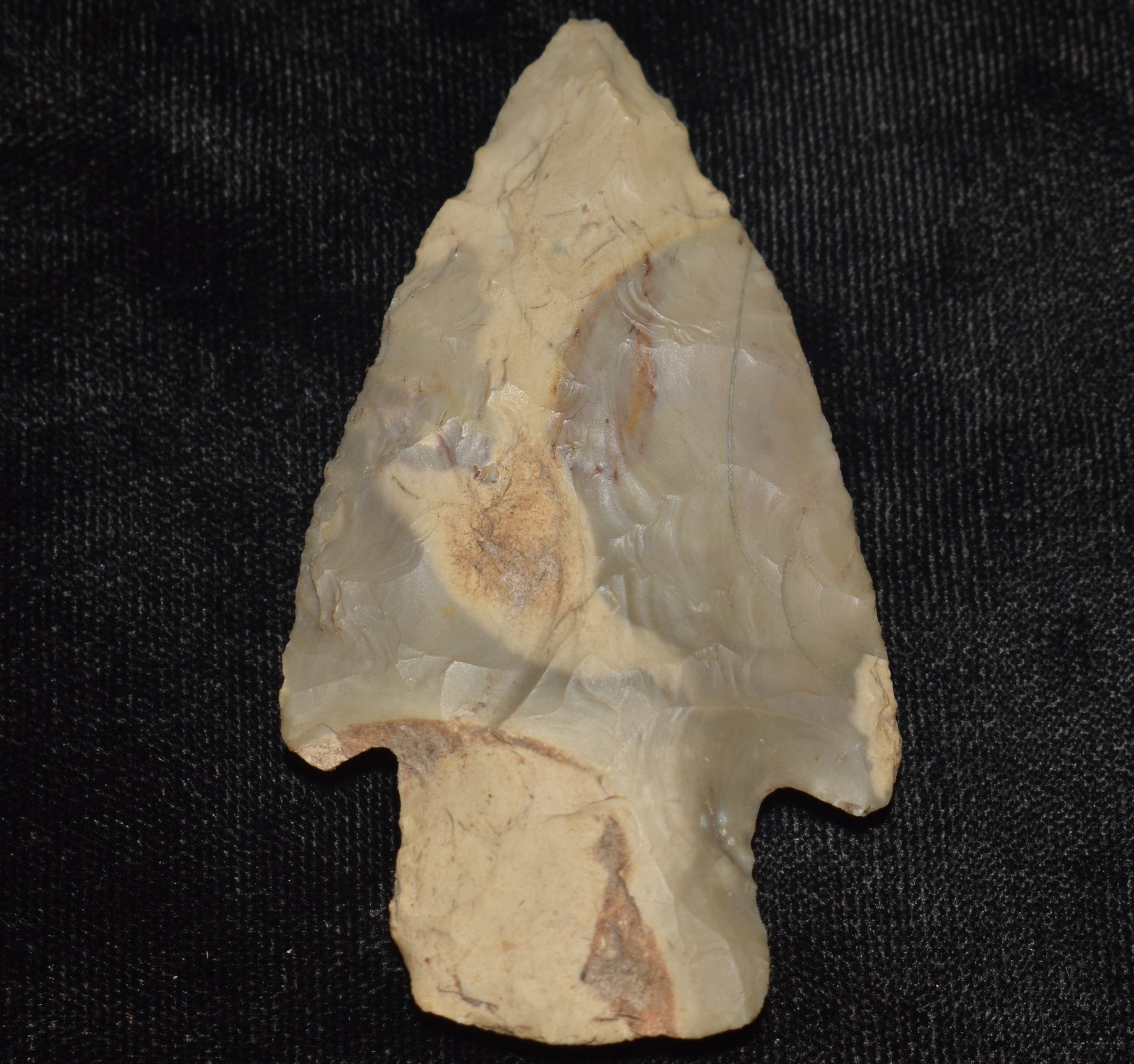 2 3/4" Choteau Chert Etley found in Johnson County, Missouri: 2 3/4" Choteau Chert Etley found in Johnson County, Missouri. Ex Tim Patrick Collection. Key words: Ancient, Prehistoric Native American Indian Artifacts, Arrowheads, Stone Tools