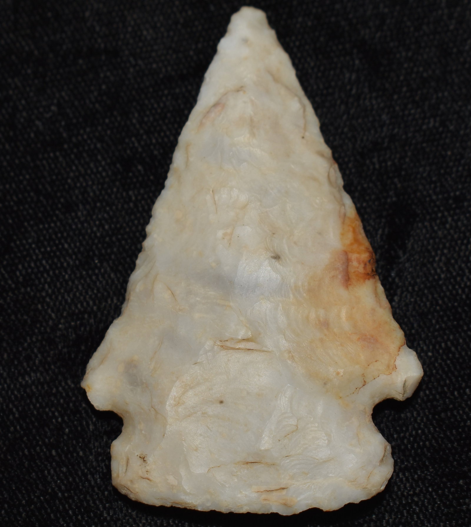 2 1/4" Rice Lobbed Arrowhead found in Johnson County, Missouri: 2 1/4" Rice Lobbed Arrowhead found in Johnson County, Missouri. Material appears to be white Mozarkite but could be high grade Burlington. Ex Tim Patrick Collection. Key words: Ancient, Prehistoric Na