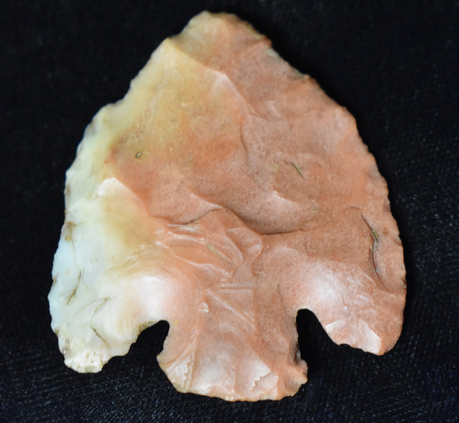 1 7/8" Colorful Earbob Ferry found in South Central Missouri: 1 7/8" Colorful Earbob Ferry found in South Central Missouri. Ex Tim Patrick Collection. Key words: Ancient, Prehistoric Native American Indian Artifacts, Arrowheads, Stone Tools