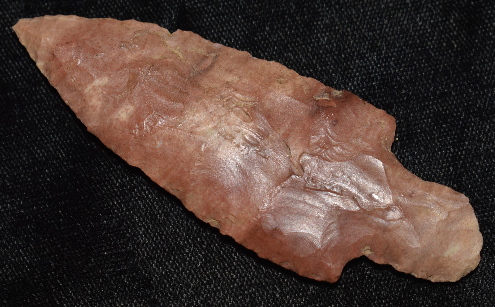3 3/8" Colorful Adena Waubesa found in Tennessee - Ex Walt McIntyre Collection: 3 3/8" Colorful Adena Waubesa found in Tennessee - Ex Walt McIntyre Collection. Nicely made example of the type. Material appears to be heat treated Buffalo River Chert. Key words: Ancient, Prehistori
