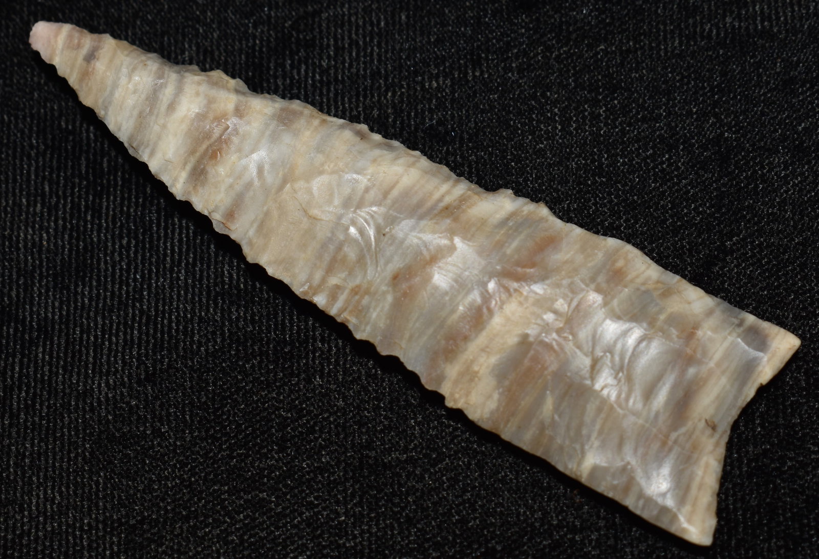 3 1/8" Colorful Mozarkite Dalton found in Johnson County, Missouri: 3 1/8" Colorful Mozarkite Dalton found in Johnson County, Missouri. Basal features are a dead ringer for a Plainview. Resharpening suggests Dalton. Nicely made point. Ex Tim Patrick Collection