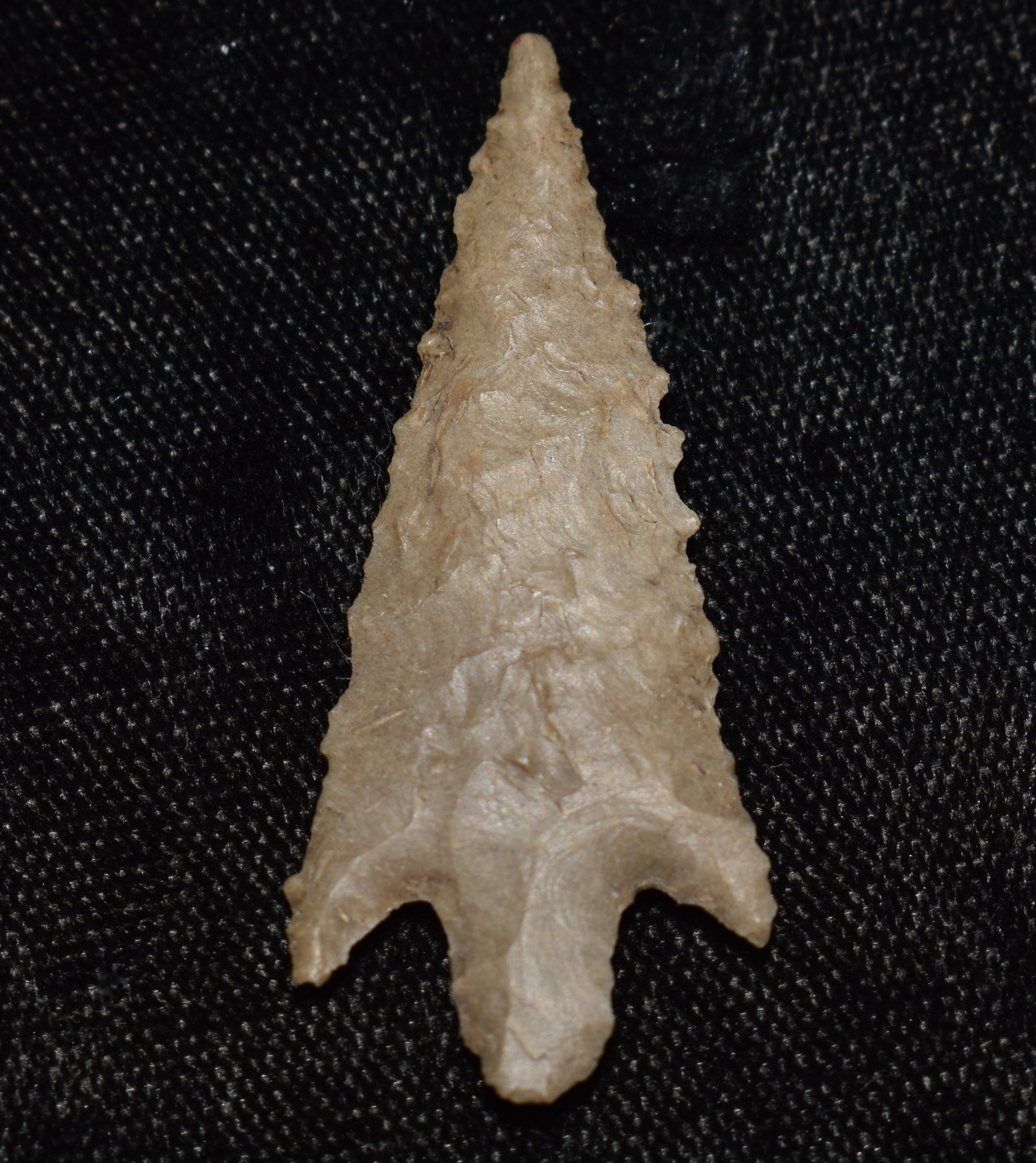 1 5/8" Very Finely Made Perdiz Arrowhead found in Texas - Ex Walt McIntyre Collection: 1 5/8" Very Finely Made Perdiz Arrowhead found in Texas - Ex Walt McIntyre Collection. Correct manufacture and good patination. Material appears to be Edwards Plateau Chert.