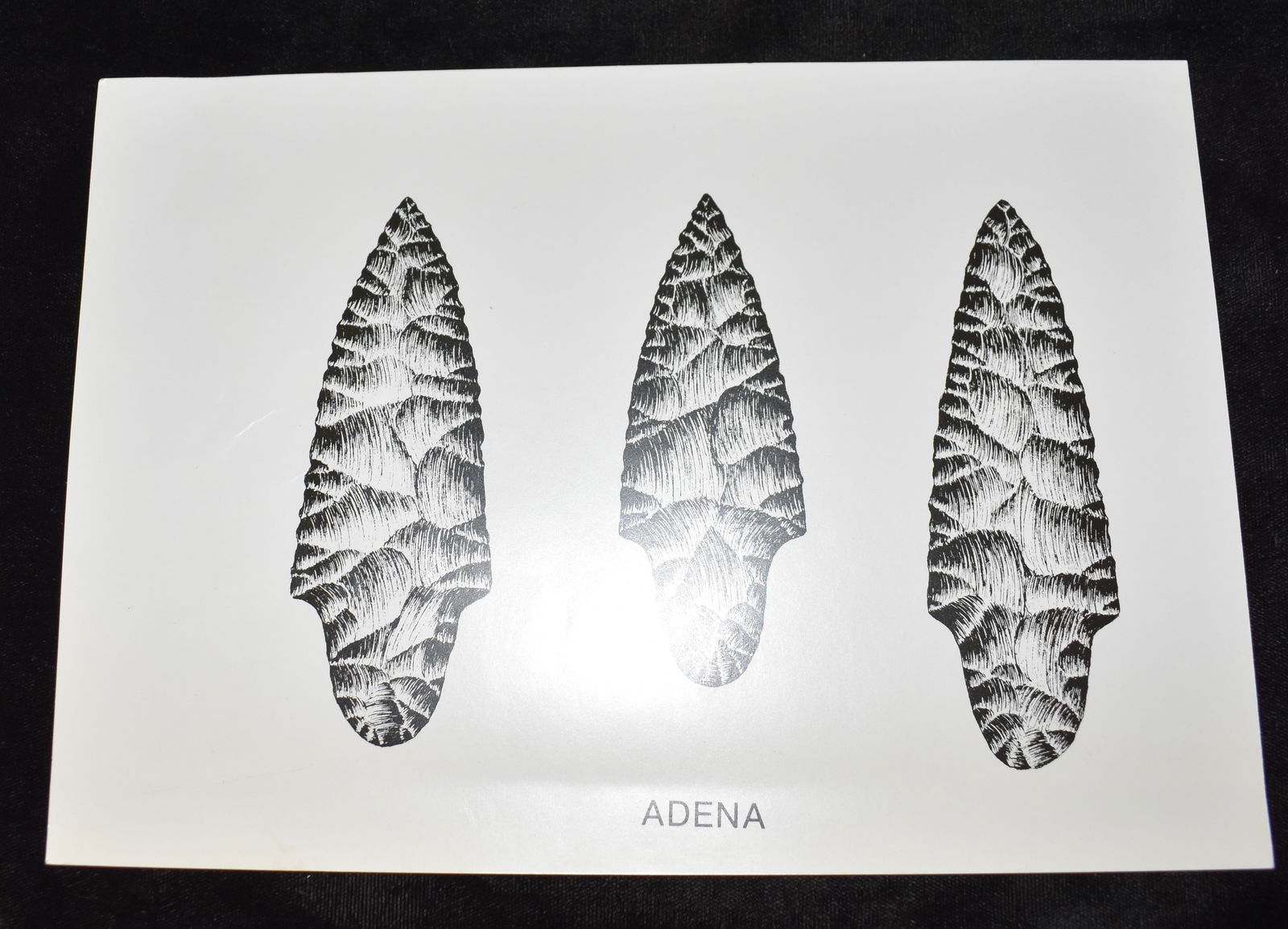 Adena Original Plate used in the Creation of Perino's Book - Selected Preforms, Points, and Knives: Adena Original Plate used in the Creation of Perino's Book - Selected Preforms, Points, and Knives of the North American Indians. Gregory Perino was a highly respected authenticator and Author of Nati