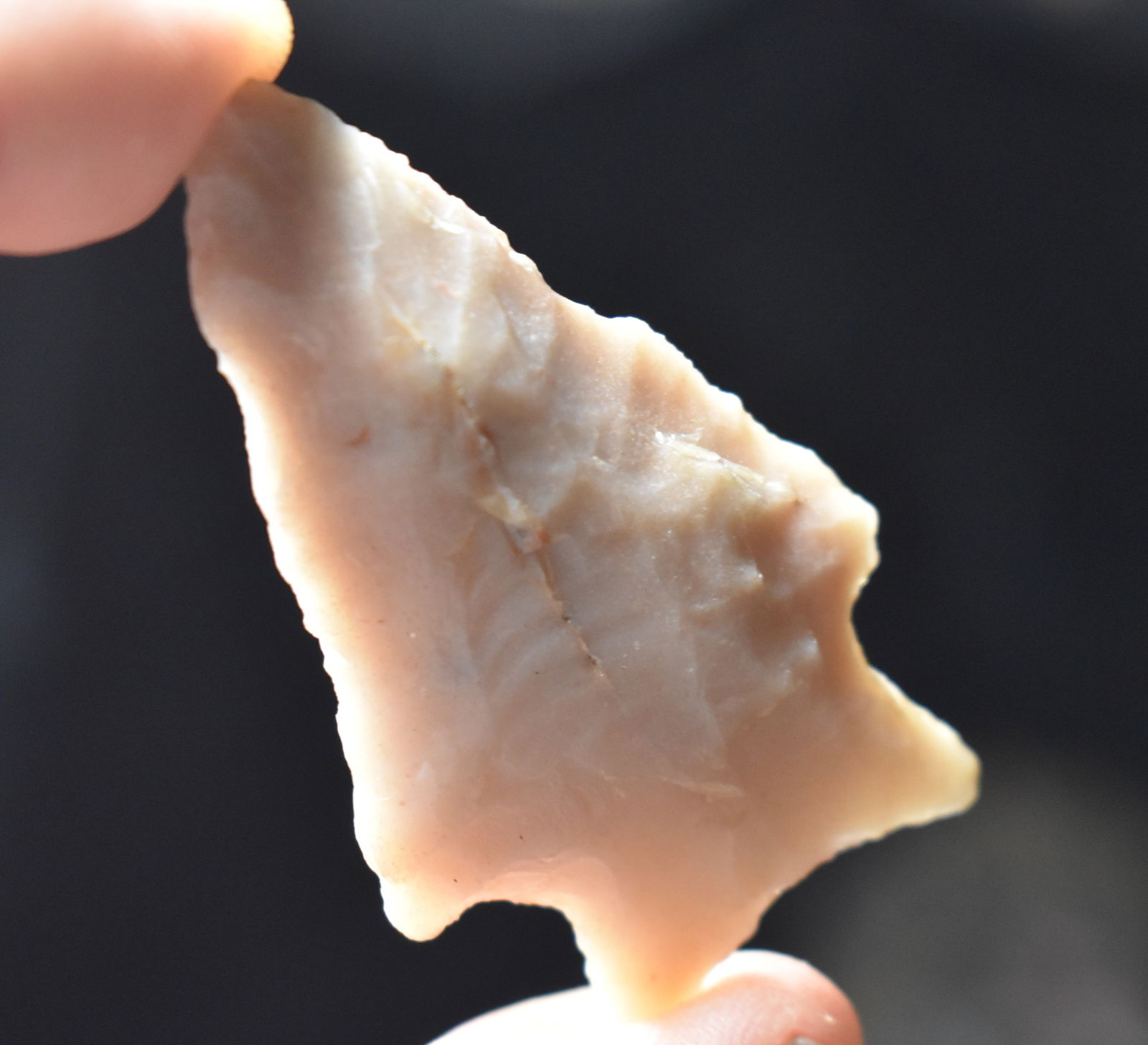 2 3/8" Novaculite Rice Lobbed Arrowhead found in Pope County, Arkansas: 2 3/8" Novaculite Rice Lobbed Arrowhead found in Pope County, Arkansas. Exhibits correct manufacture and good patination. Ex Tim Patrick Collection.