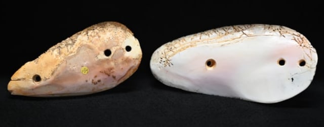 2 Shell Gorgets Modern Made. Longest is 5 5/8 inches.: 2 Shell Gorgets Modern Made. Longest is 5 5/8 inches.