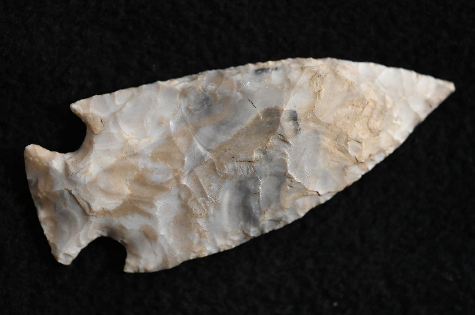 3" Gibson Found in Pettis Co. Missouri, Pictured in Who's Who #10 page 201 comes with a Ryan Keele: 3" Gibson Found in Pettis Co. Missouri, Pictured in Who's Who #10 page 201 comes with a Ryan Keele COA Ex: Donnie Leutjen, George Wolf, Matt Lay Collections. Key words: Ancient, Prehistoric Native Ame