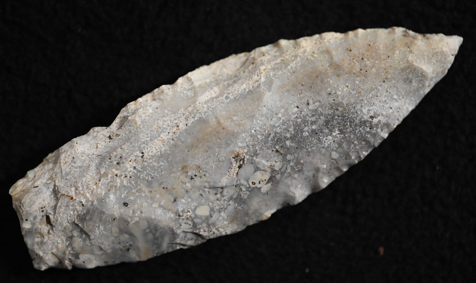 3 3/4" Oolithic Chert Sedalia Found in Pettit Co. Missouri, Roy Motley COA Ex: Bob Zimmerman (1 of 10)