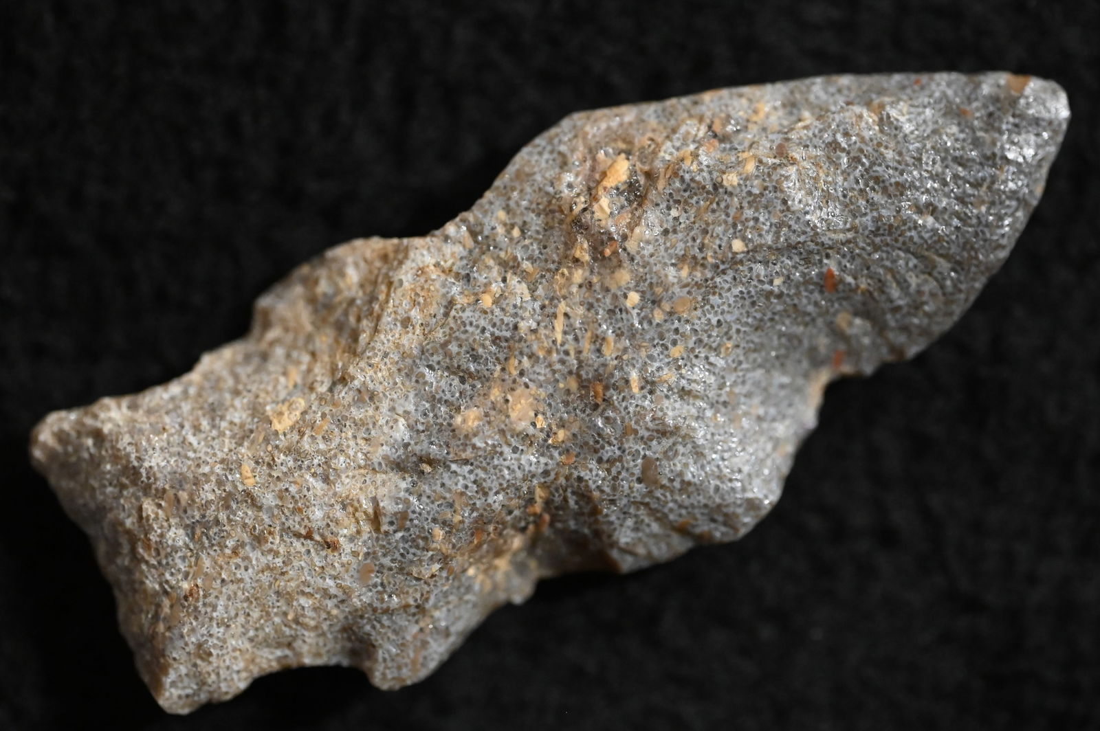 2 7/16" Eccentric Arrowhead Found near the Osage River in Miller Co. Missouri. (1 of 10)