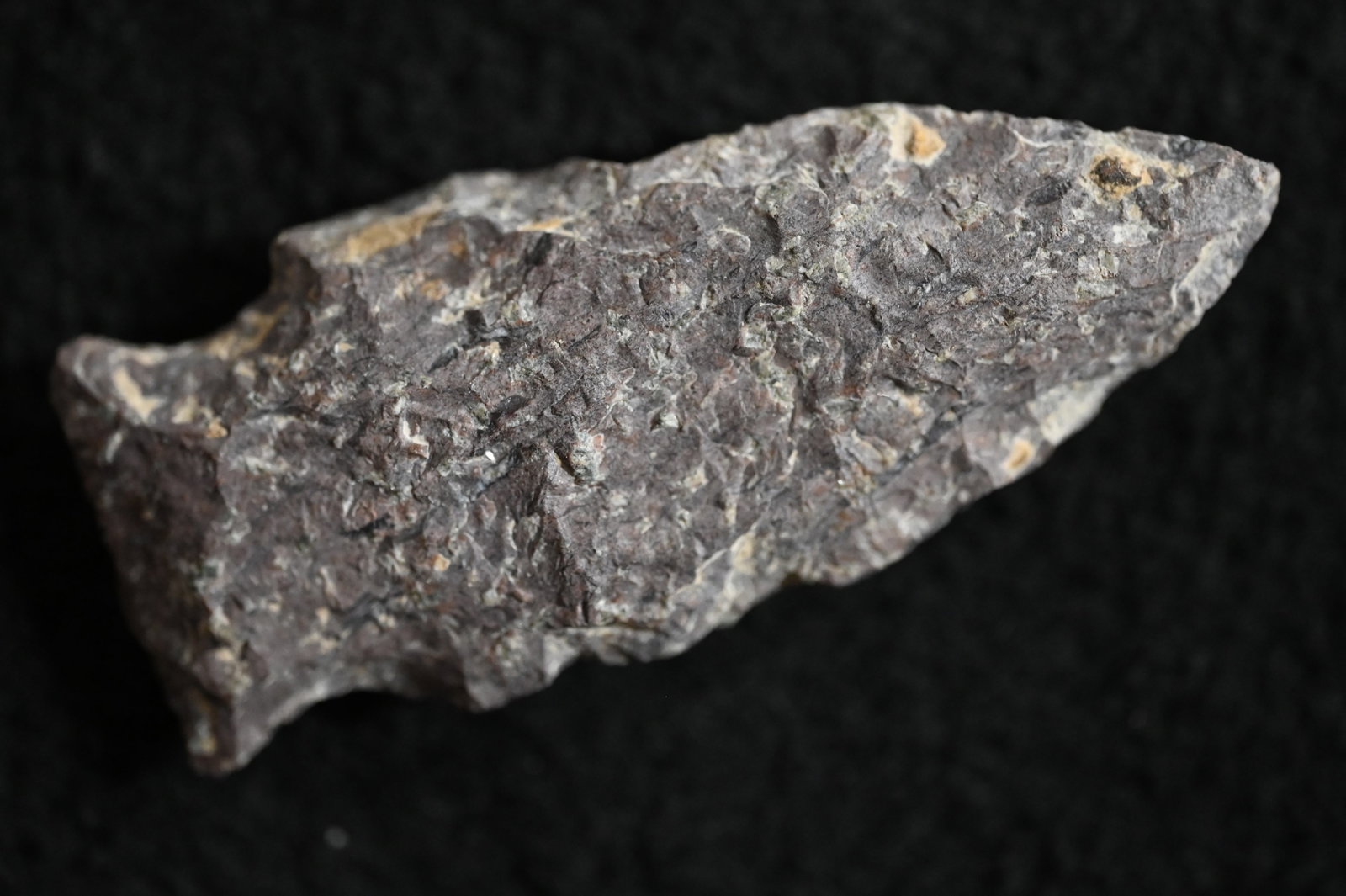 2 5/8" Rhyolite Etley Found in St. Francis Co. Missouri.: 2 5/8" Rhyolite Etley Found in St. Francis Co. Missouri. Key words: Ancient, Prehistoric Native American Indian Artifacts, Arrowheads, Stone Tools