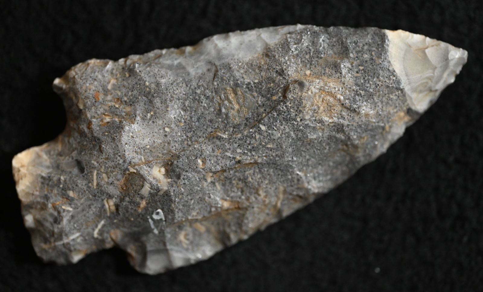 3 7/16" Smith Arrowhead Found in Moniteau Co. Missouri. (1 of 10)
