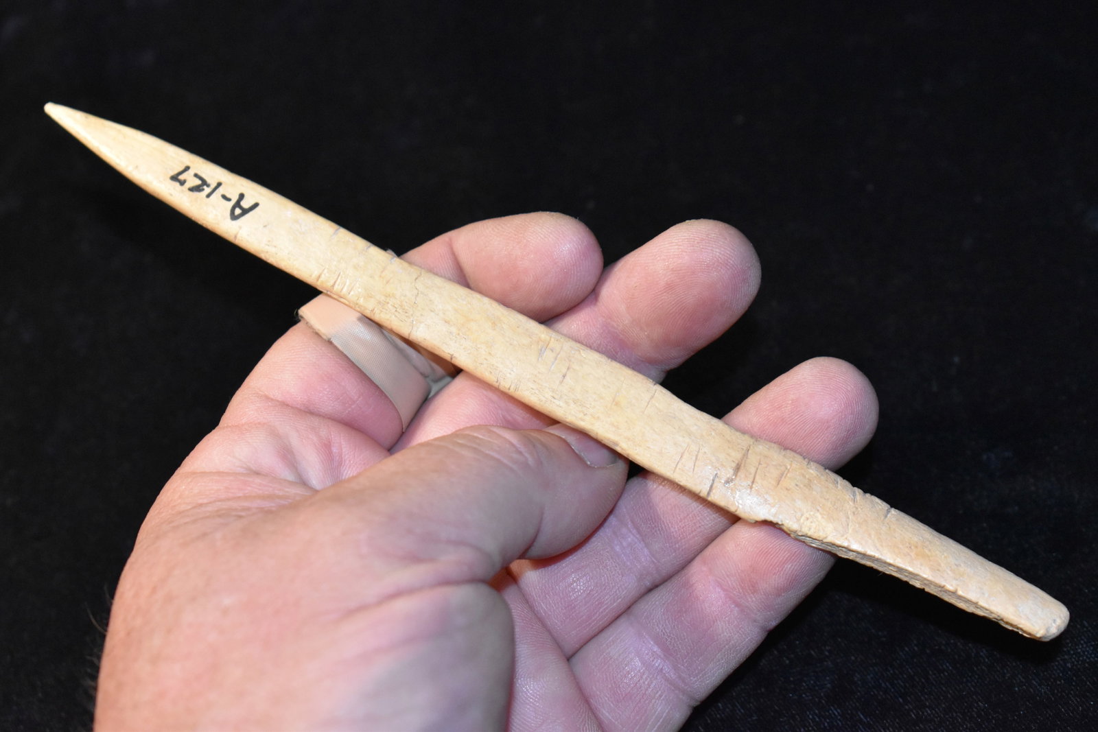 7 3/4" Bone Awl found in South Dakota: 7 3/4" Bone Awl found in South Dakota. Large example likely made from a buffalo bone. Ex Gary Vandyke Collection. Key words: Ancient, Prehistoric Native American Indian Artifacts, Arrowheads, Stone To