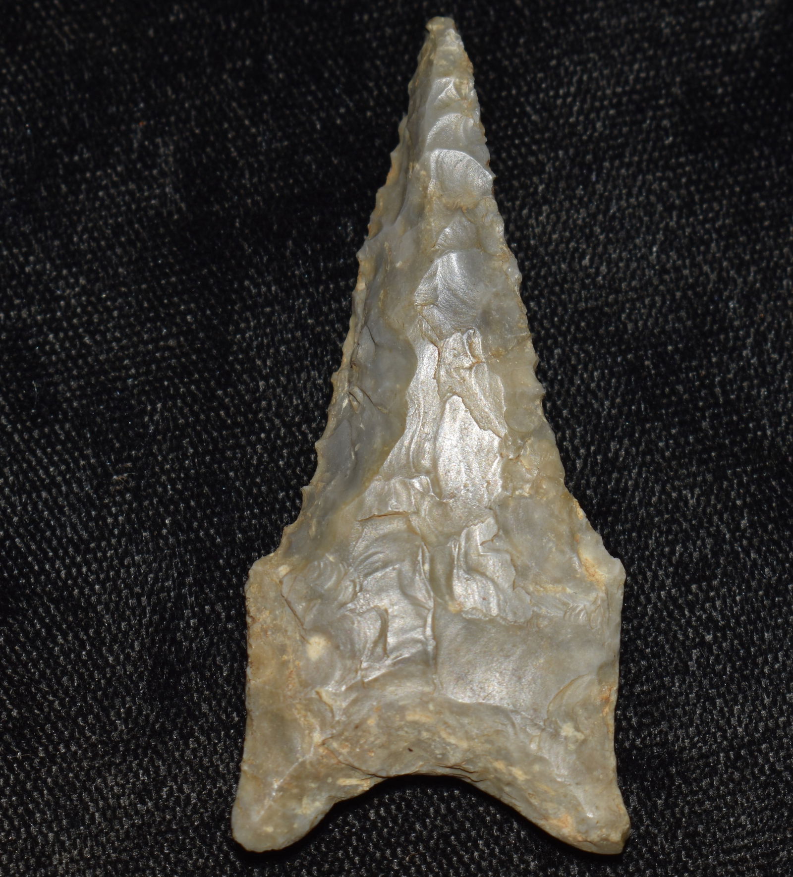 2 1/4" Choteau Chert Dalton found in Pettis County, Missouri (1 of 7)
