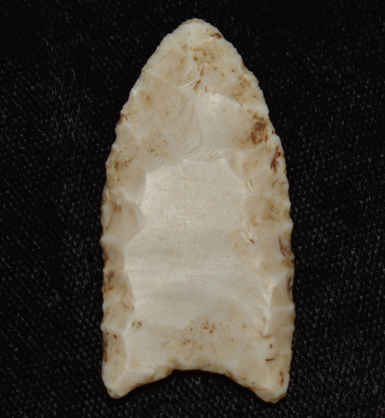 1 9/16" Folsom found in Adams County, Illinois w/ Keele COA (1 of 10)