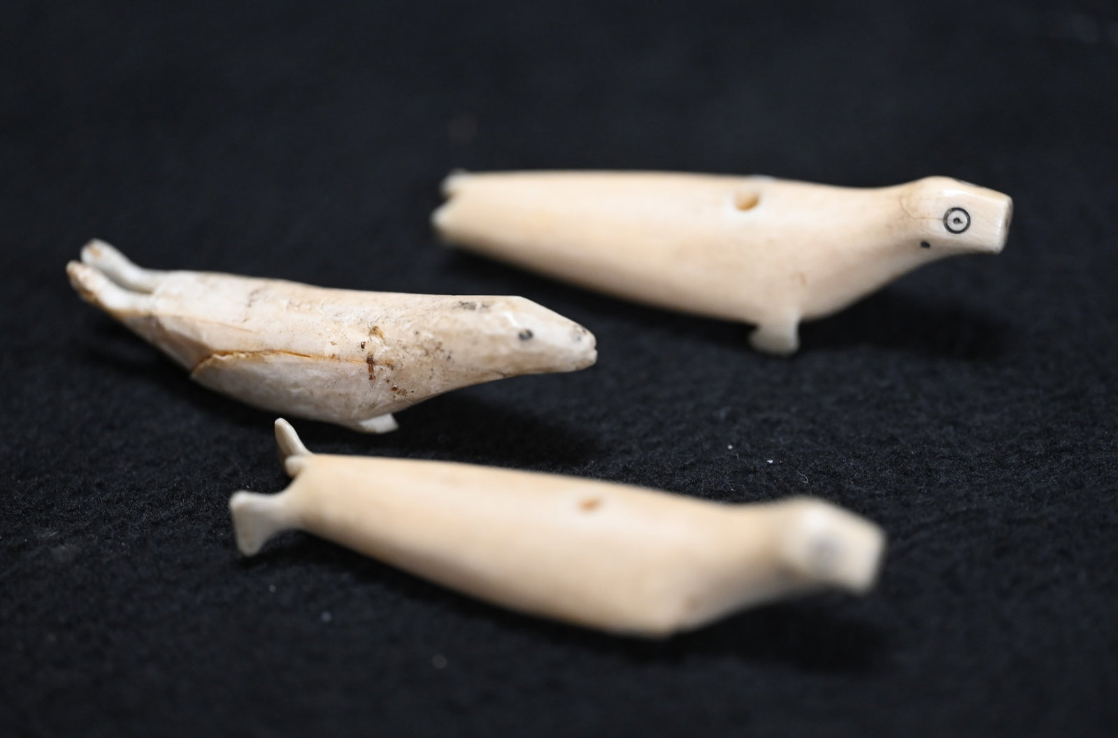 3 Inuit Carved Bone Seal Amulets longest is 2 1/2 inches.: 3 Inuit Carved Bone Seal Amulets longest is 2 1/2 inches.