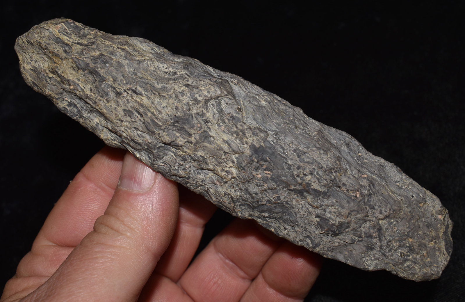 5 3/4" Rhyolite Chisel found in SW Missouri: 5 3/4" Rhyolite Chisel found in SW Missouri. Likely used for chiseling wood. The pointed end has been thickened from many impacts which would have been from either using it for pecking or being struck