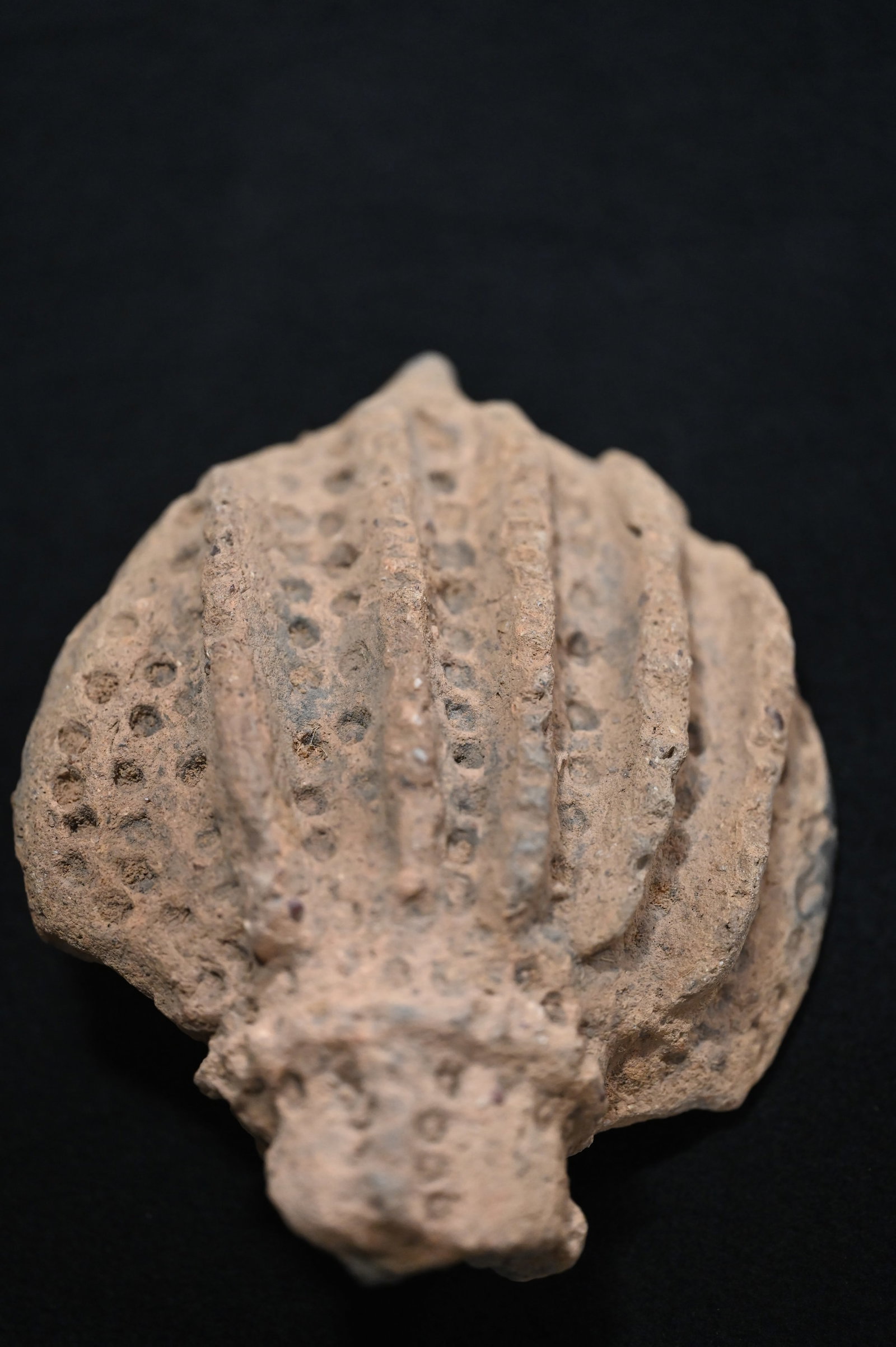 Ancient African Bura Asinda Terracotta Grave Marker found in Niger or Burkina Faso 1000 to 1500 CE.: Ancient African Bura Asinda Terracotta Grave Marker found in Niger or Burkina Faso 1000 to 1500 CE.. A 6" decorative top figure. Often these markers or as some call them urns do not express facial fea