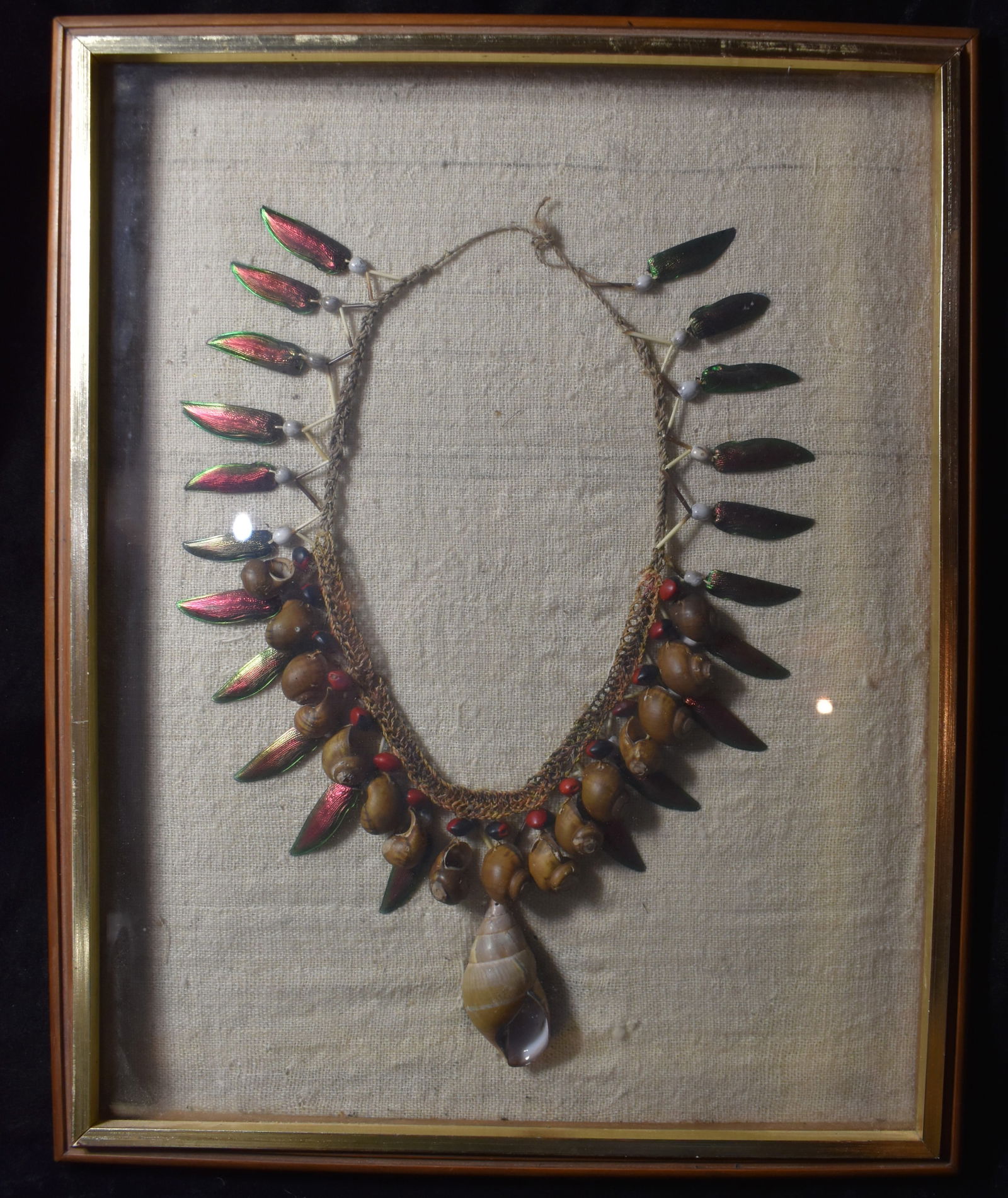 Tribal Borneo Necklace - Snail Shells, Porcupine Quills, Jewel Beatle Wings and Rosary Peas (1 of 10)