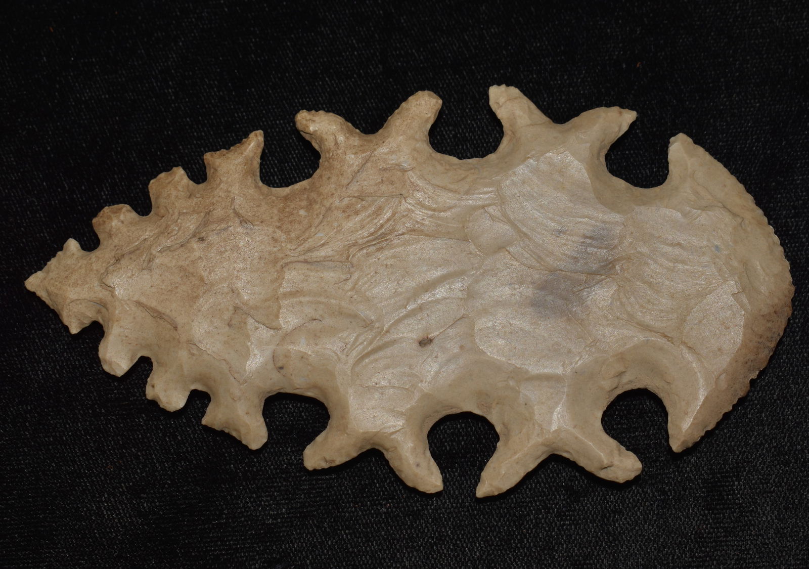 5" Edwards Plateau Tussinger Eccentric - Mid Century Modern (1 of 7)