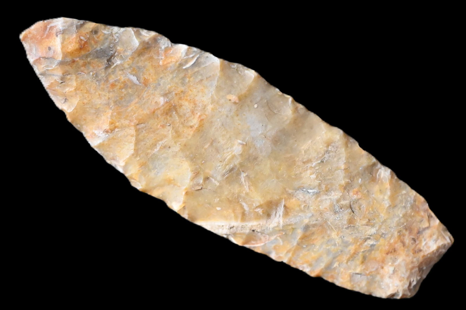 3 3/8" Creek Stained Angostura Found by Justin Lovell in Hancock Co. Illinois. (1 of 10)