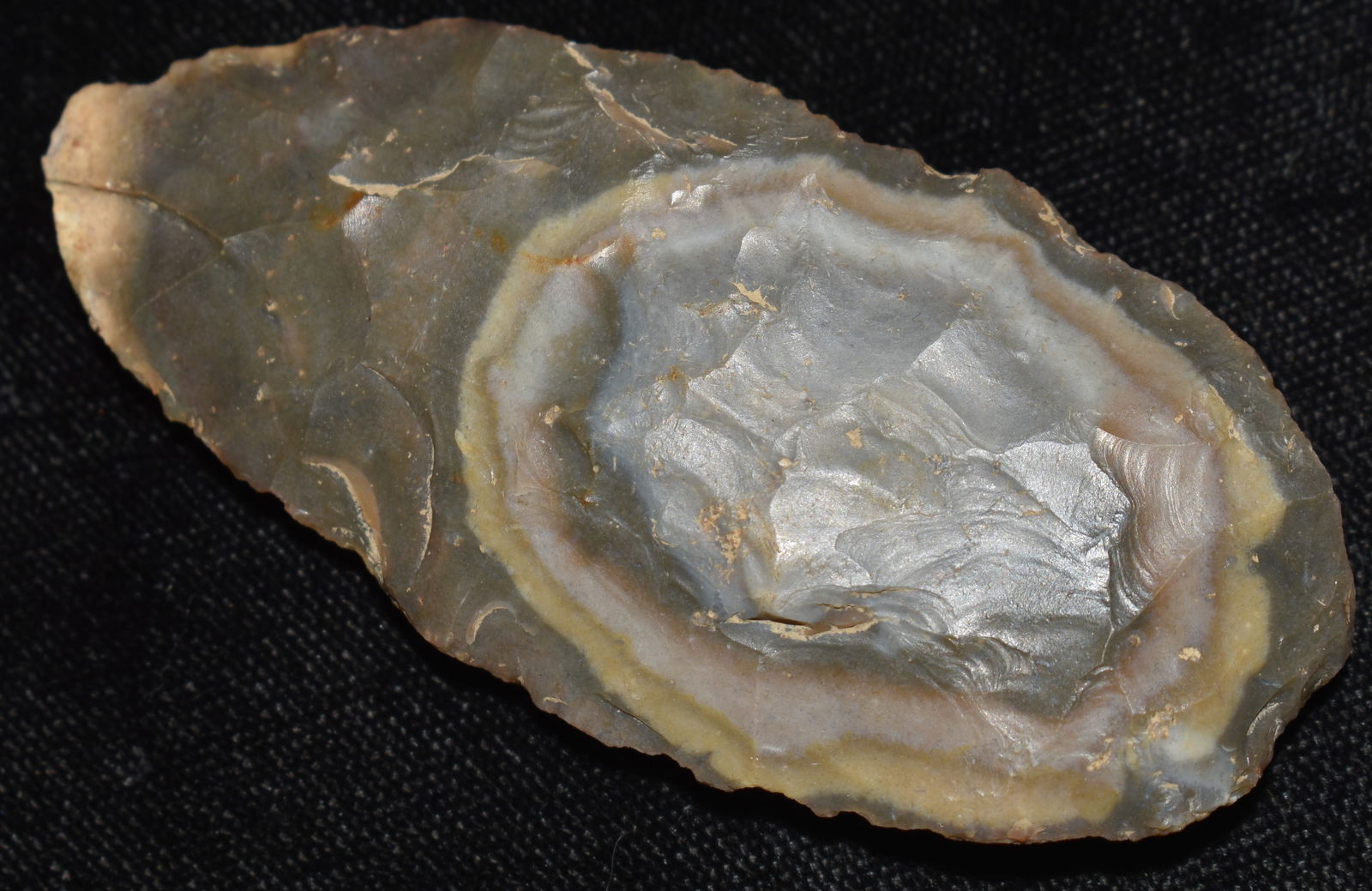 2 7/8" Bullseye Cobden Blade found in Illinois (1 of 7)