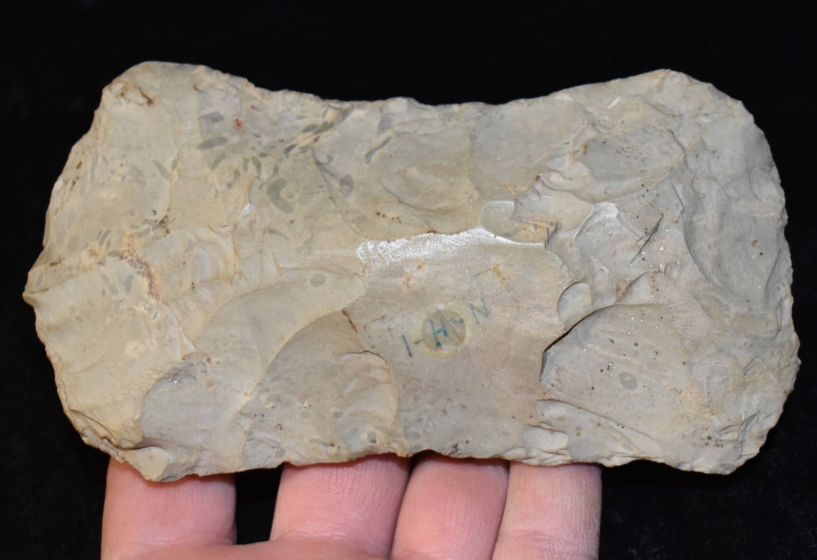 5 5/8" Nicely Developed Choteau Chert Axe found in Pettis County, Missouri: 5 5/8" Nicely Developed Choteau Chert Axe found in Pettis County, Missouri. Significant use wear polish in the haft area. Ex George Wolf Collection. Key words: Ancient, Prehistoric Native American Ind