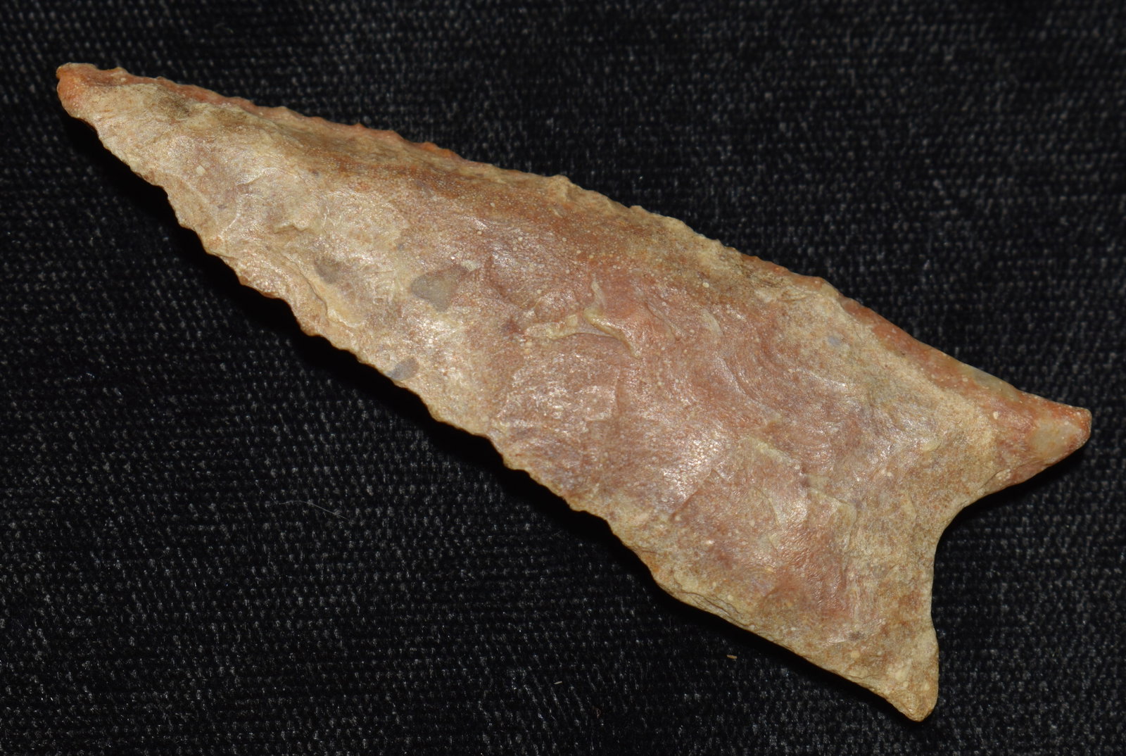 2 3/4" River Patinated Dalton found in Pettis County, Missouri (1 of 7)