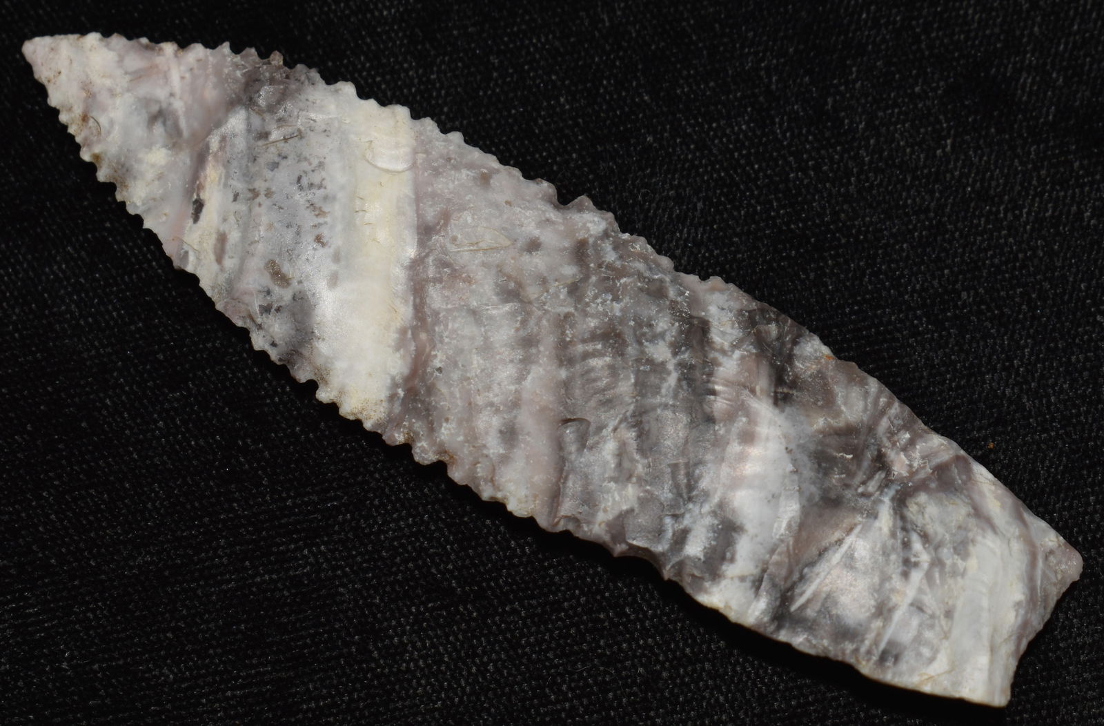 3 15/16" Colorful & Finely Serrated Mozarkite Angostura w/ COA Pettis County, Missouri (1 of 12)