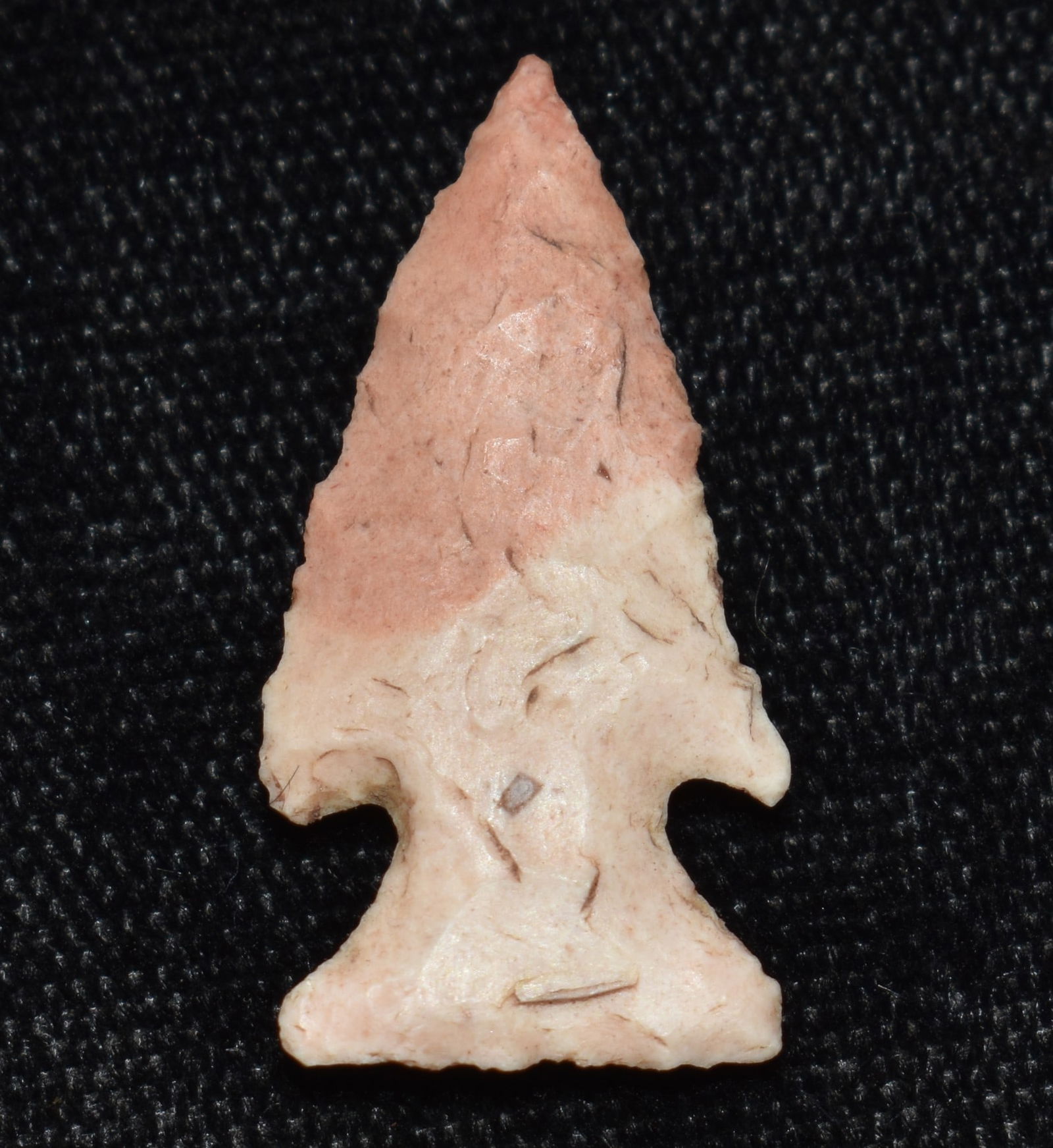 1" Very Fine 2 Toned Bird Point Arrowhead (1 of 6)