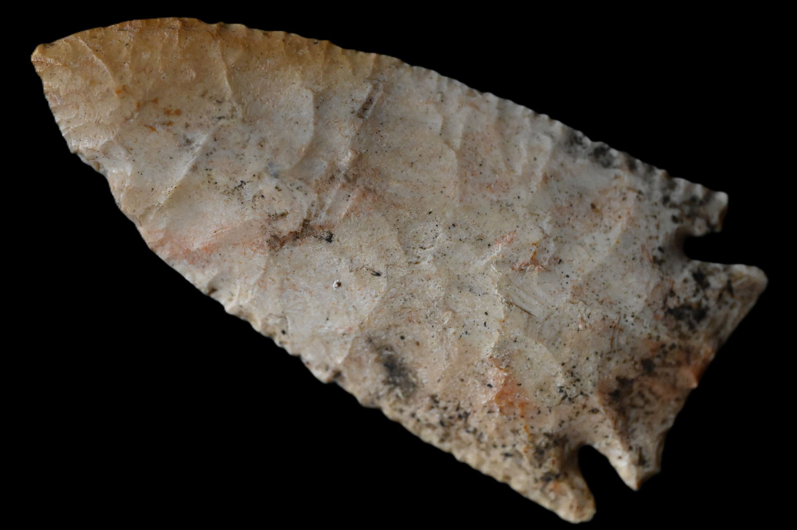 2 3/4" Payson Chert Neuberger Found in McDonough Co. Illinois. (1 of 10)