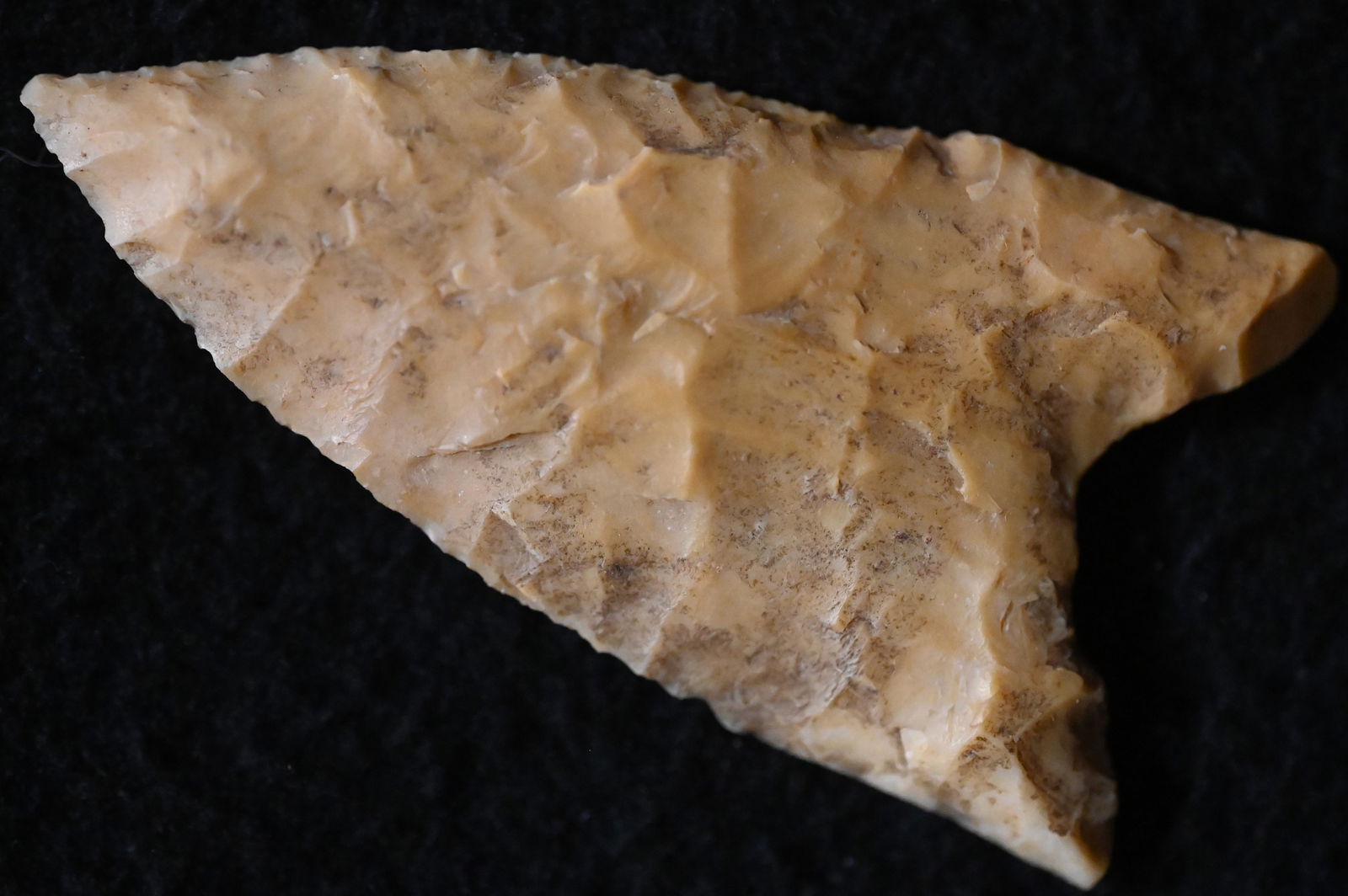 2 9/16" Dalton Found in Lafayette Co. Missouri by Ron Dankenbring w/ Keele COA. (1 of 10)