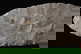 item-196999584=7