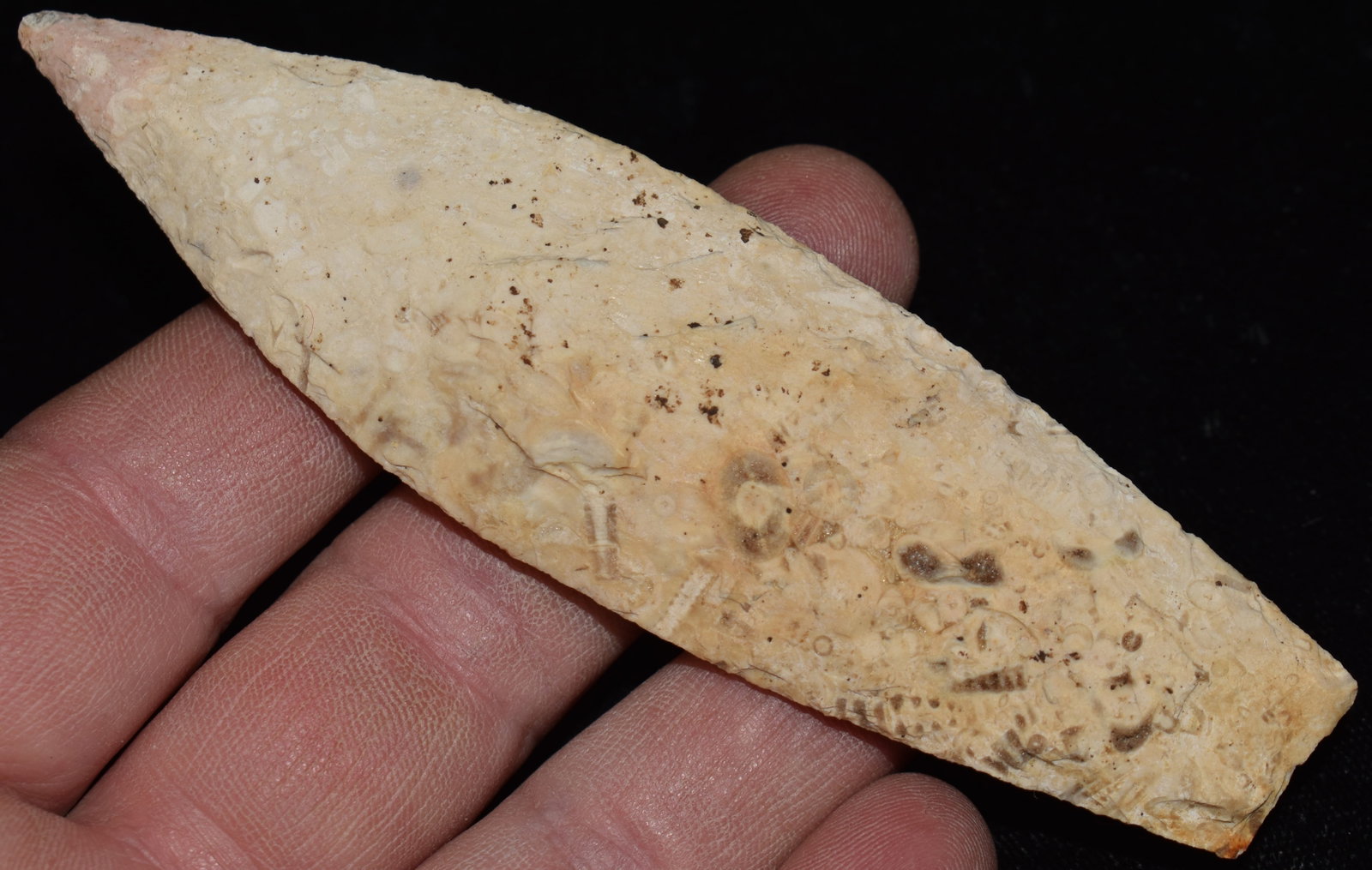 Outstanding 4 5/8" Sedalia found in Lafayette County, Missouri w/ Keele COA: Outstanding 4 5/8" Sedalia found in Lafayette County, Missouri w/ Keele COA. A very finely made example of the type. Found by Ron Dankenbring. Ron found a lot of Sedalia spear heads in his life. This 