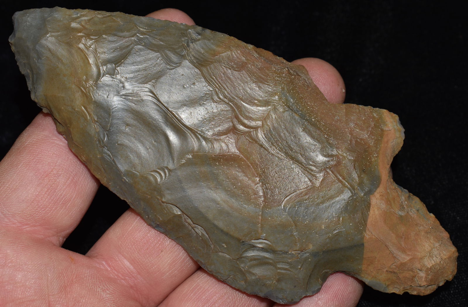 Massive 5 1/8" Adena found North of Detroit Michigan (1 of 9)