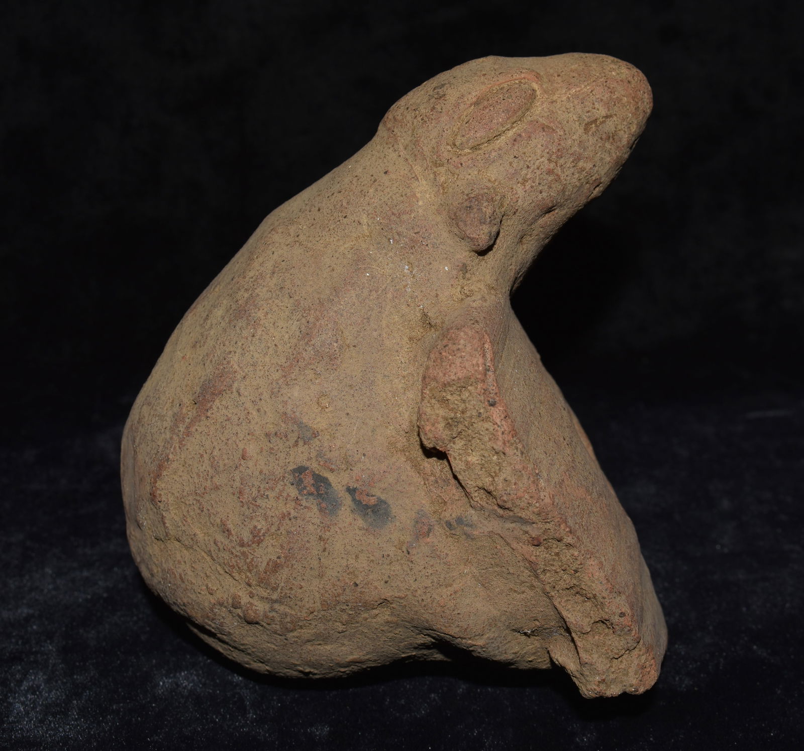 Pre-Columbian Mayan Animorphic Pottery Incense Burner - 6" (1 of 6)