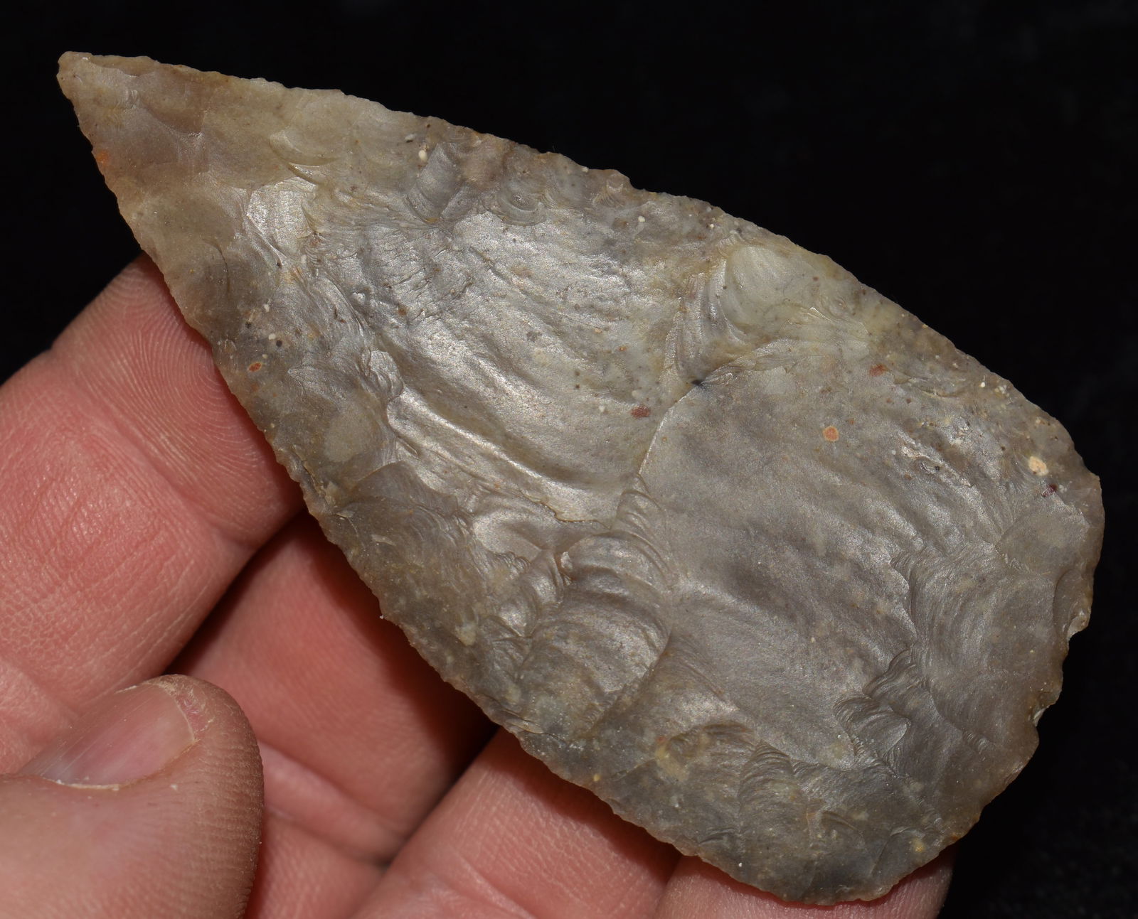 3" Nicely Made Covington Blade found in Central Texas (1 of 9)