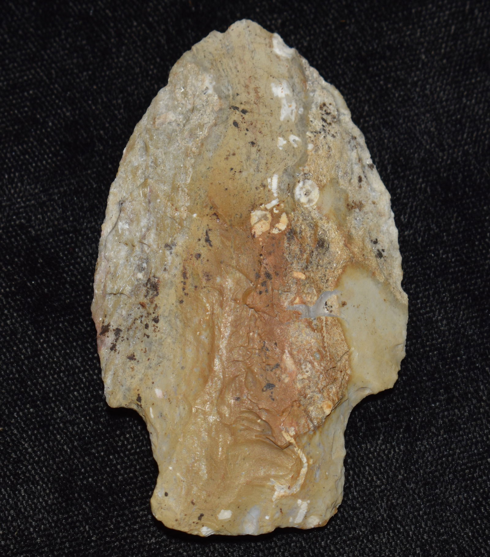 2 5/8" Woodland Arrowhead found North of Detroit Michigan (1 of 7)