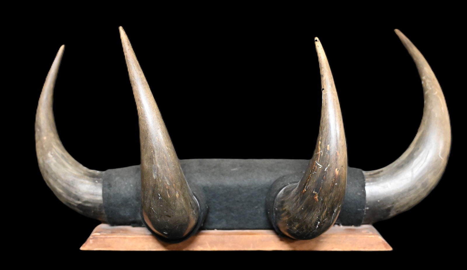 23" Wide Vintage Historic Horn Hat/Coat Rack. (1 of 7)