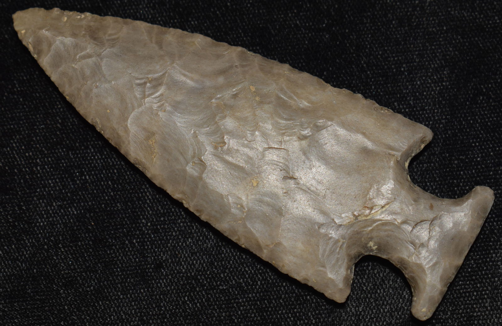 3 5/8" Motley Arrowhead - Modern Made (1 of 7)