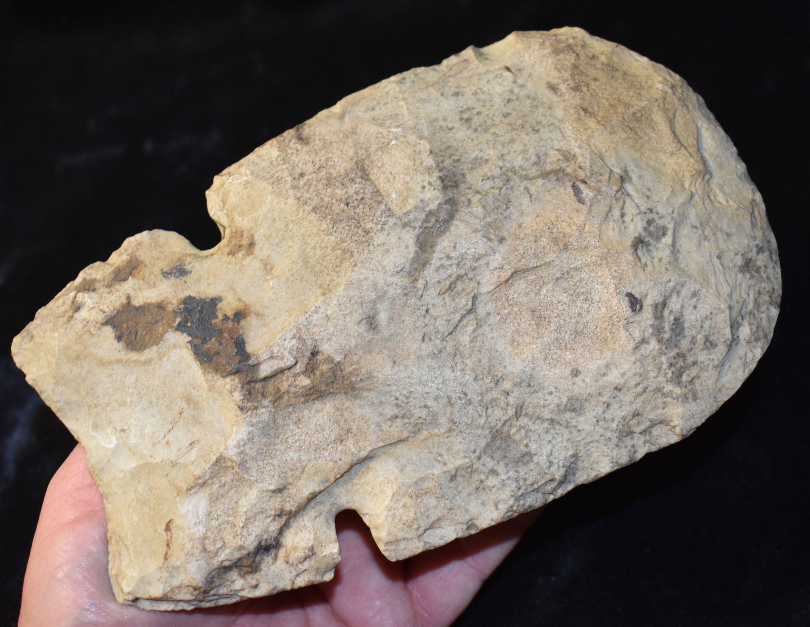 Large Mill Creek Notched Hoe - Modern Made (1 of 7)