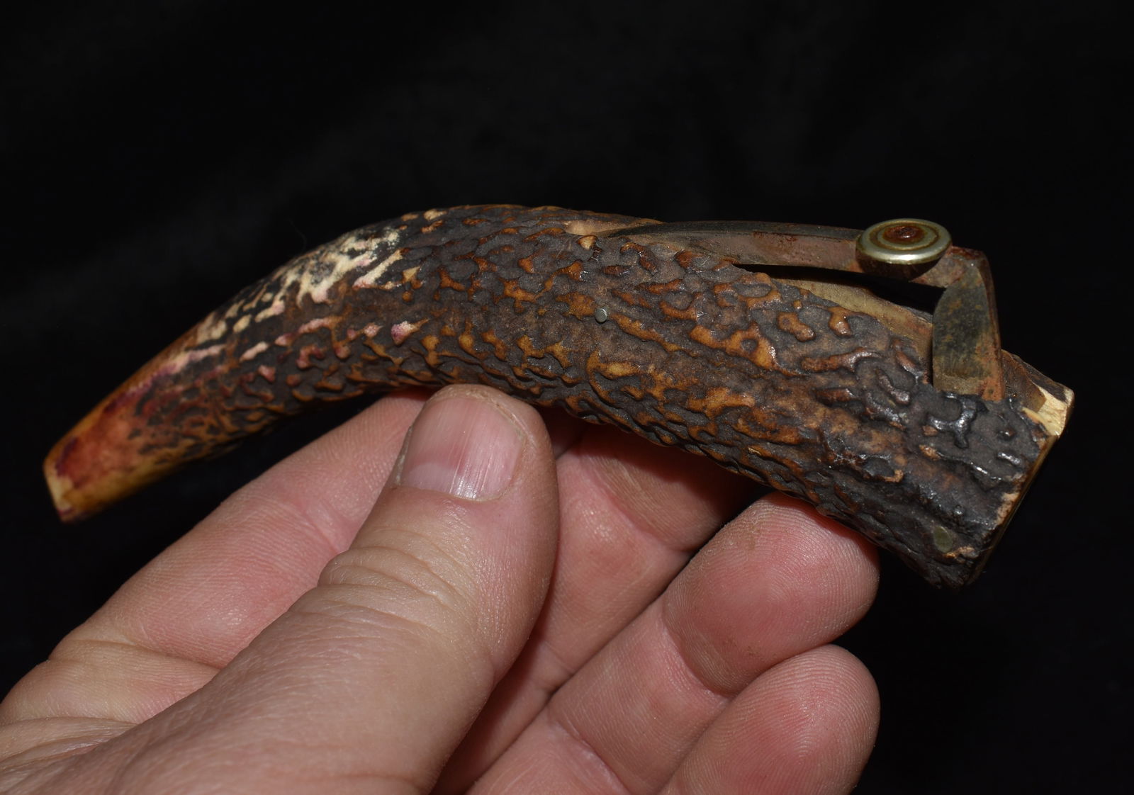 5 3/4" Vintage Antler Cigar End Cutter (1 of 1)