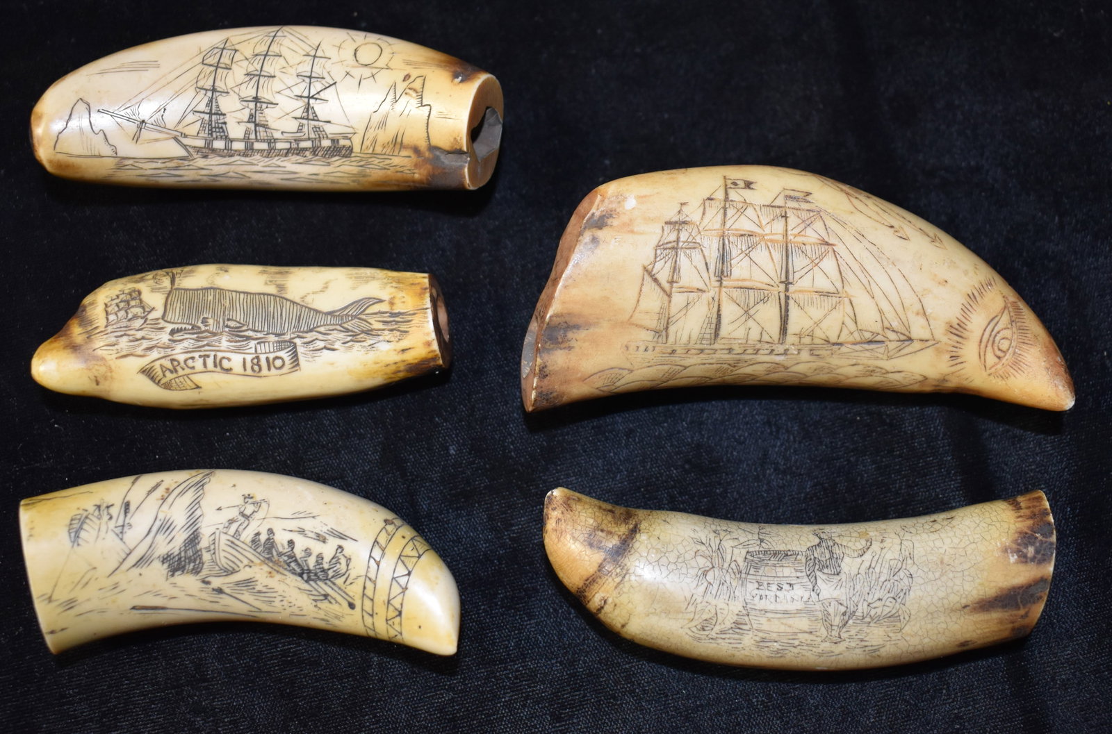 5 Scrimshaw Whales Teeth - Vintage Resin Reproductions: 5 Scrimshaw Whales Teeth - Vintage Resin Reproductions. These measure 3 1/8" to 4"