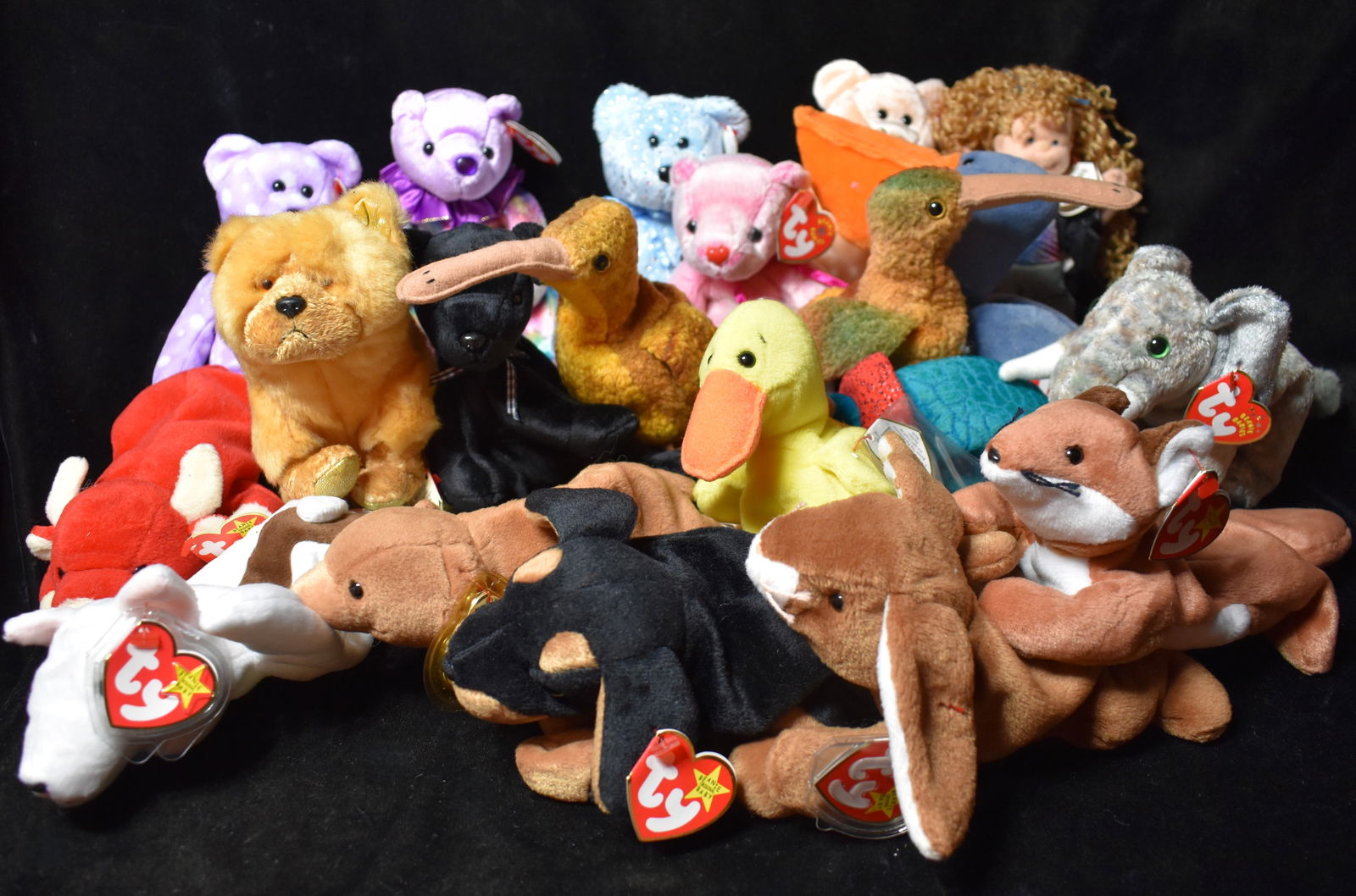 20 TY Beanie Babies - 1990's - 2000's Bears, Birds and other animals (1 of 10)