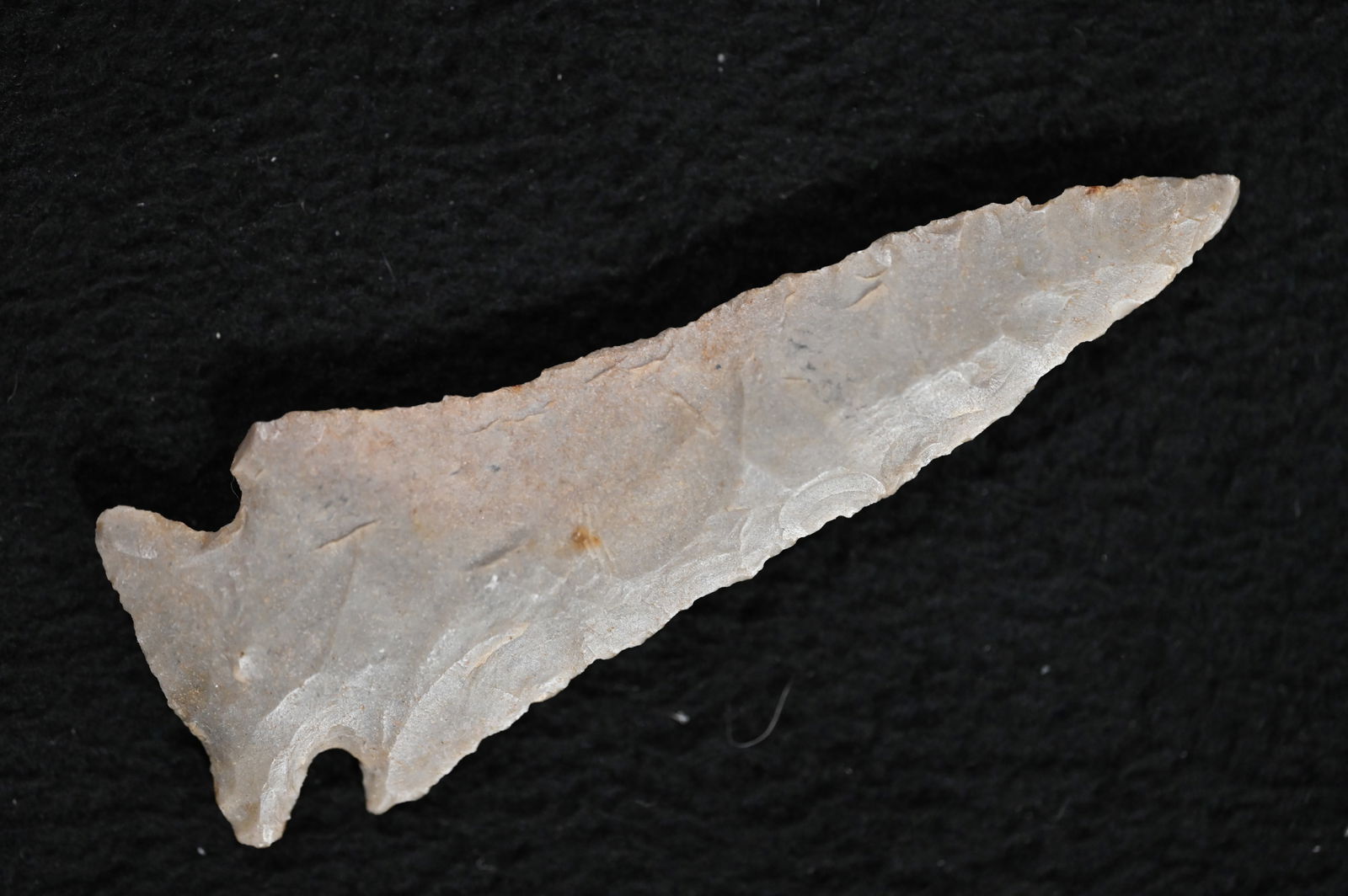 3 3/16" Pinetree Arrowhead  Ex: Phil Potter Collection of Evansville Indiana. (1 of 10)